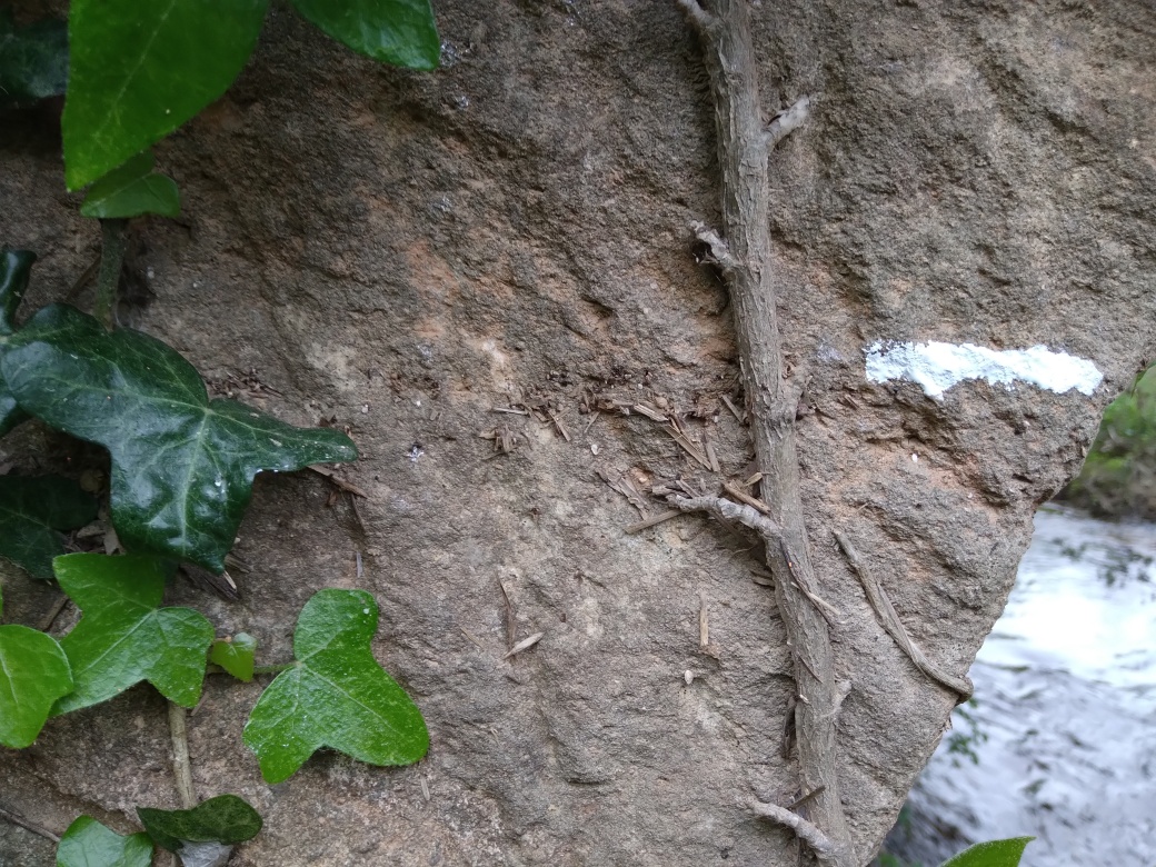 Trace sur l'arche