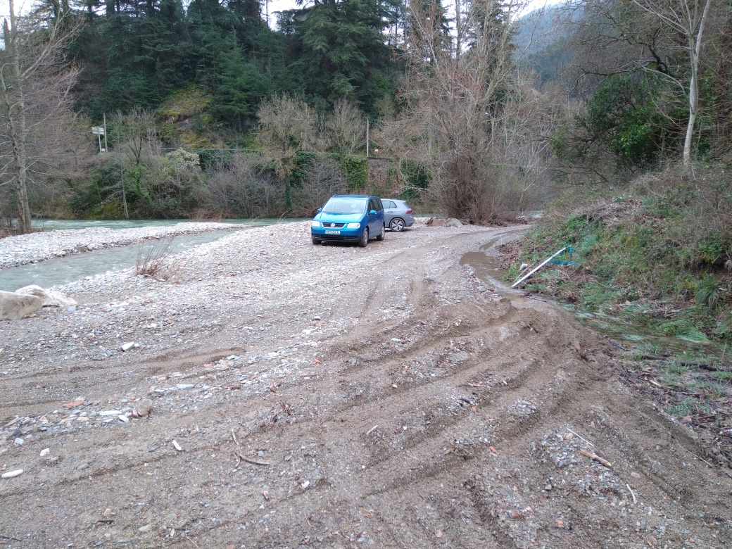 Talus