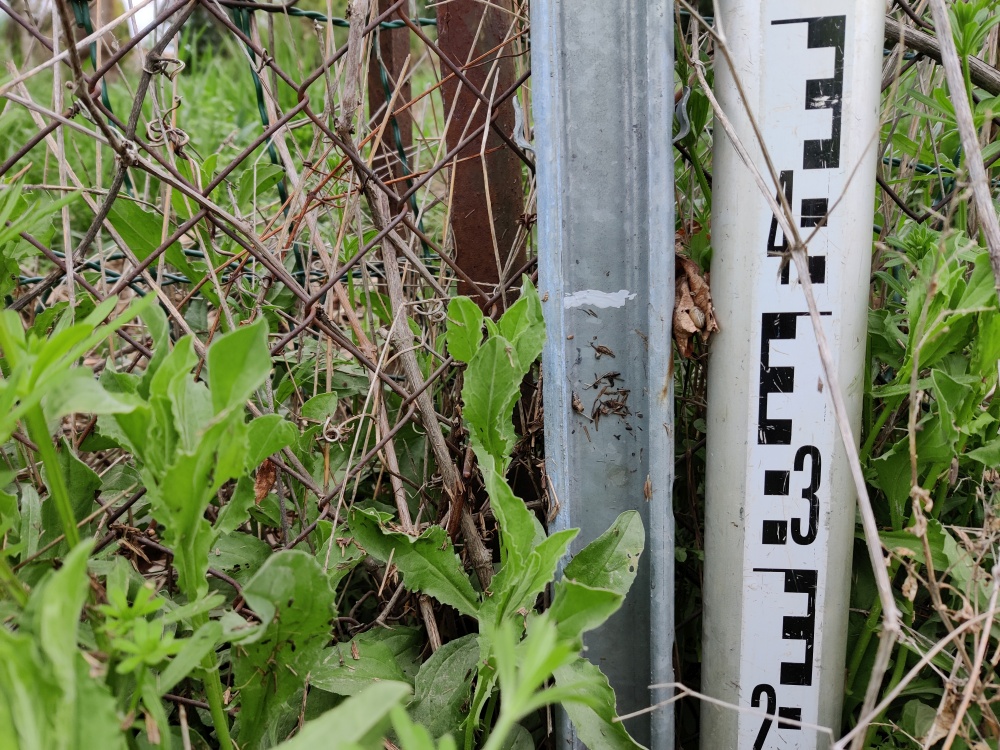Trace sur un piquet de clôture