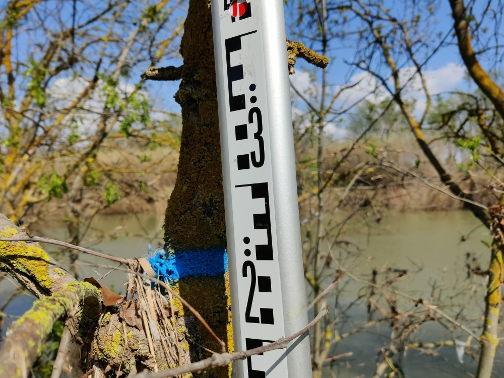 Débris végétaux sur l'arbre