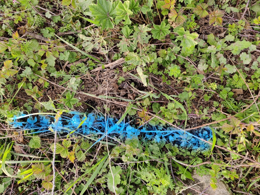 Dépôt dans l'herbe