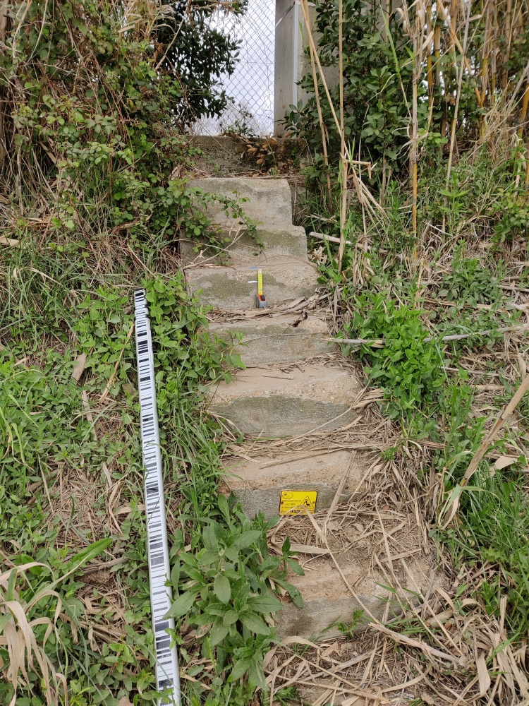 Escaliers de digue