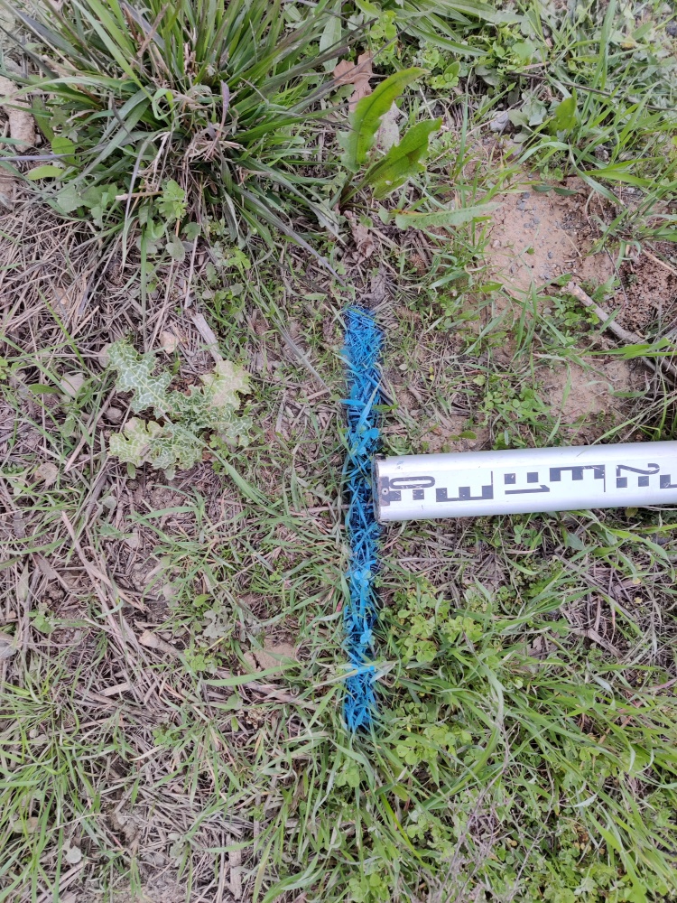 Dépôt en bordure de parcelle