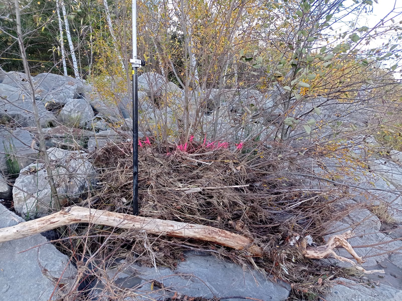Vue rapprochée du repère. Photo © AGERIN 2023