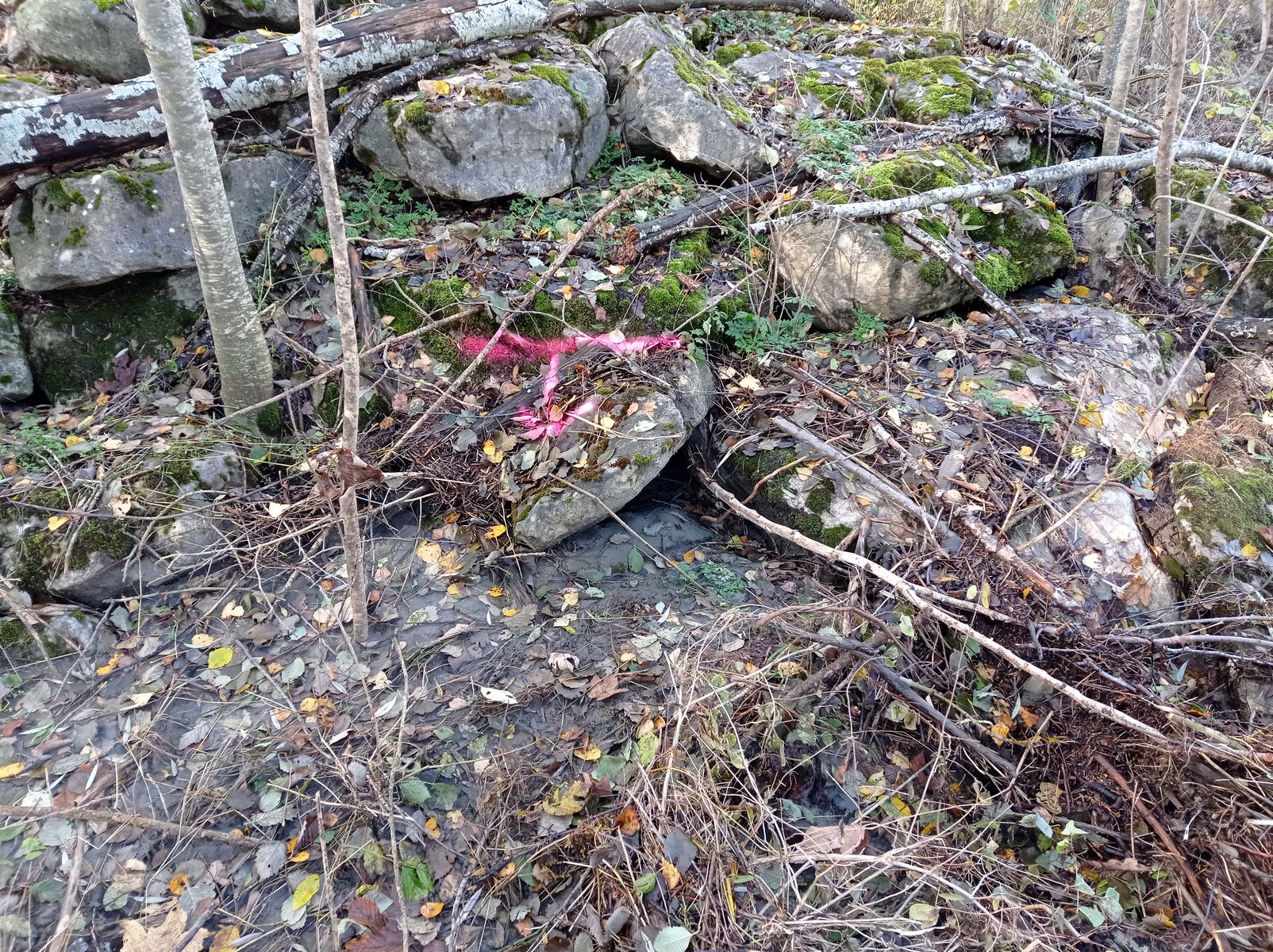 Vue rapprochée du repère. Photo © AGERIN 2023