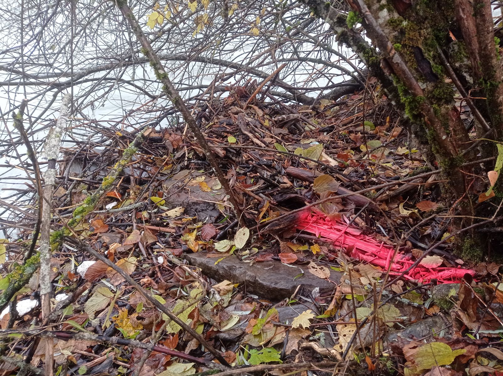 Vue rapprochée du repère. Photo © AGERIN 2023