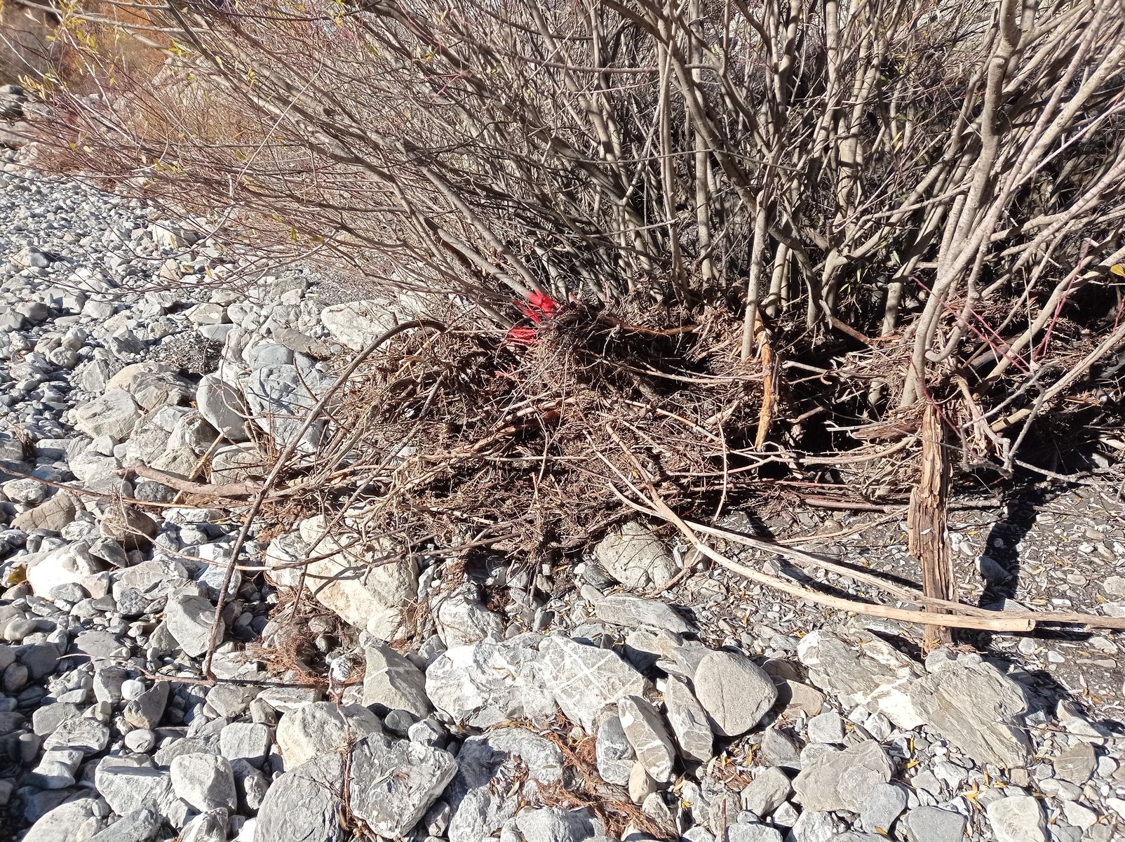 Vue rapprochée du repère. Photo © AGERIN 2023
