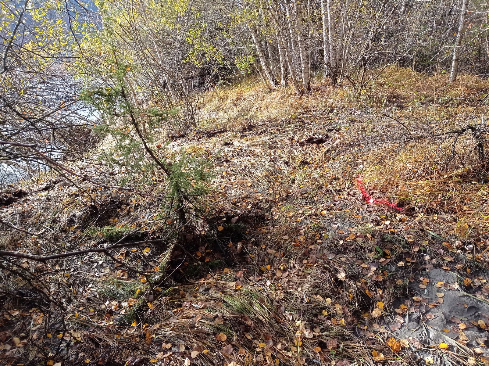 Vue générale du site. Photo © AGERIN 2023