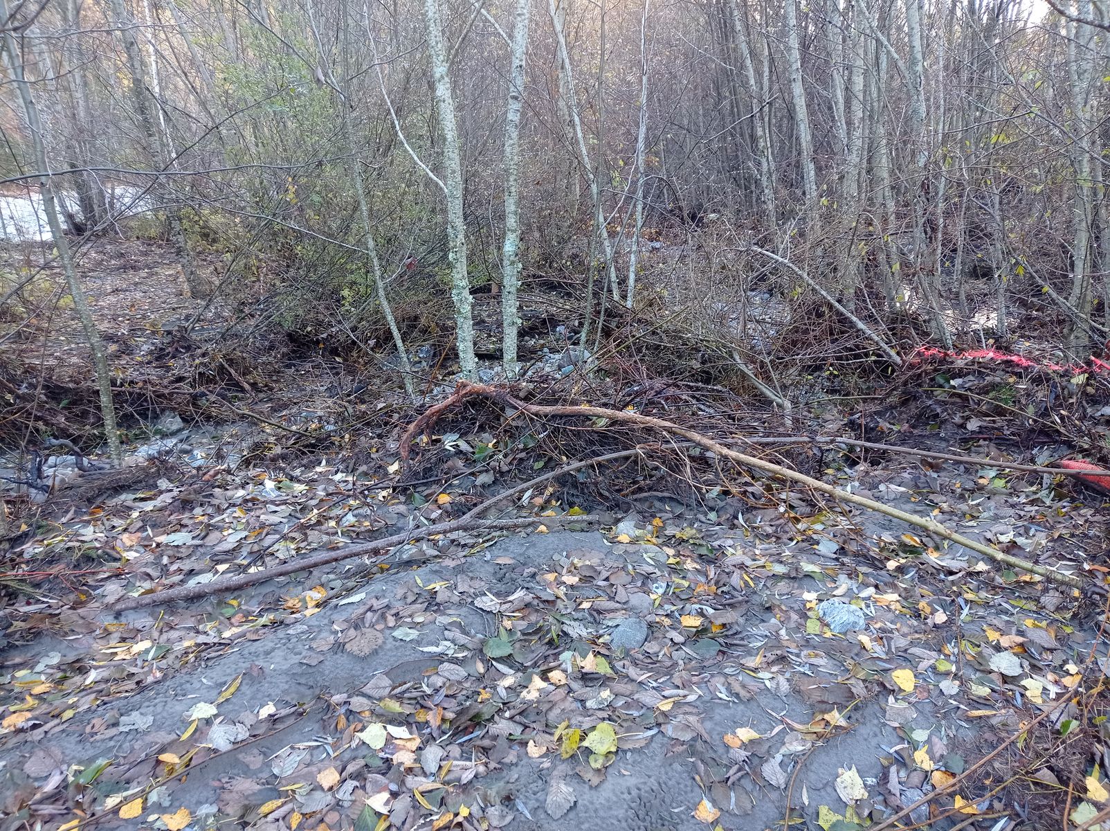 Vue générale du site. Photo © AGERIN 2023