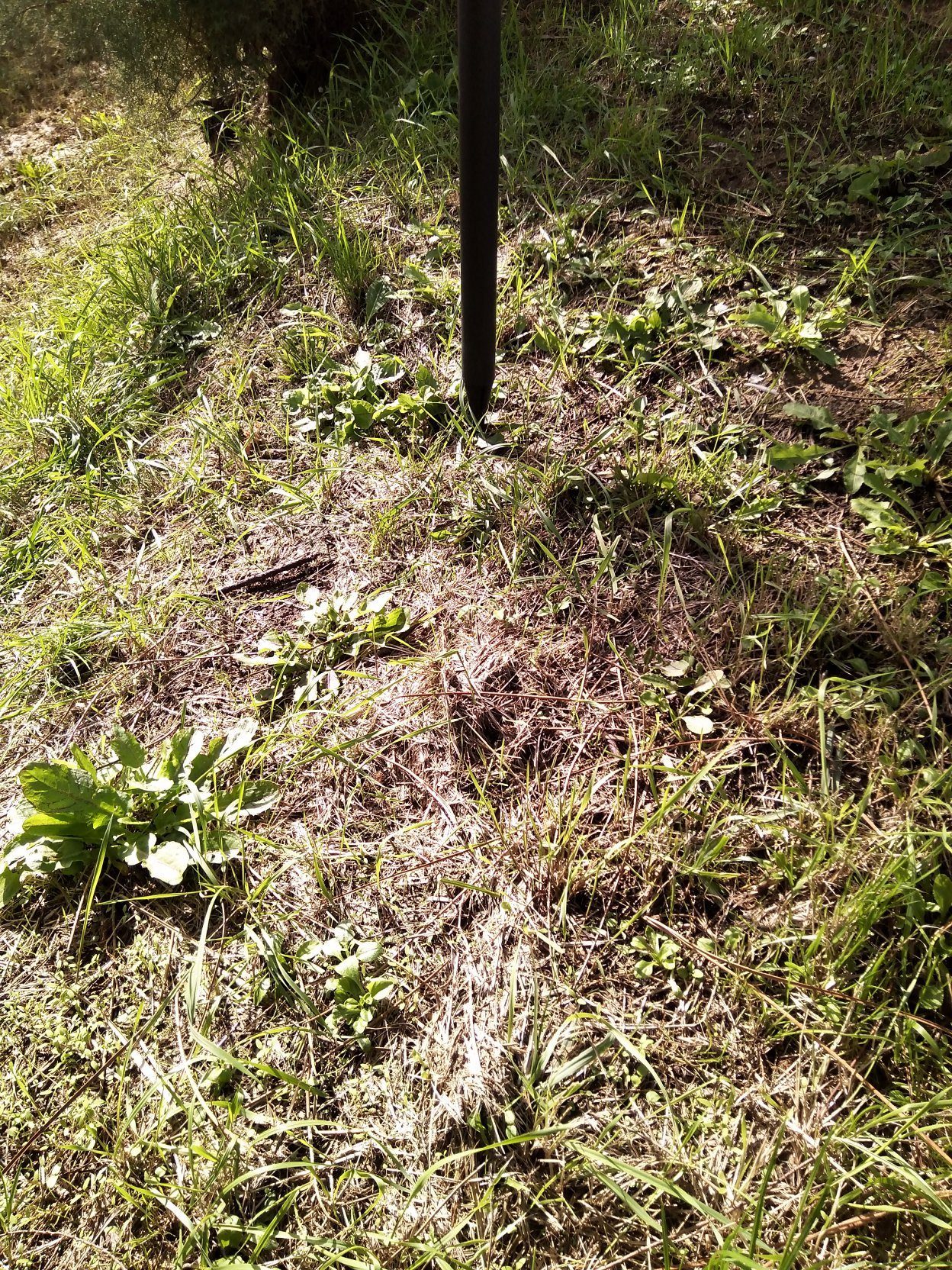 Vue de laisse – auteur : SPC GAD