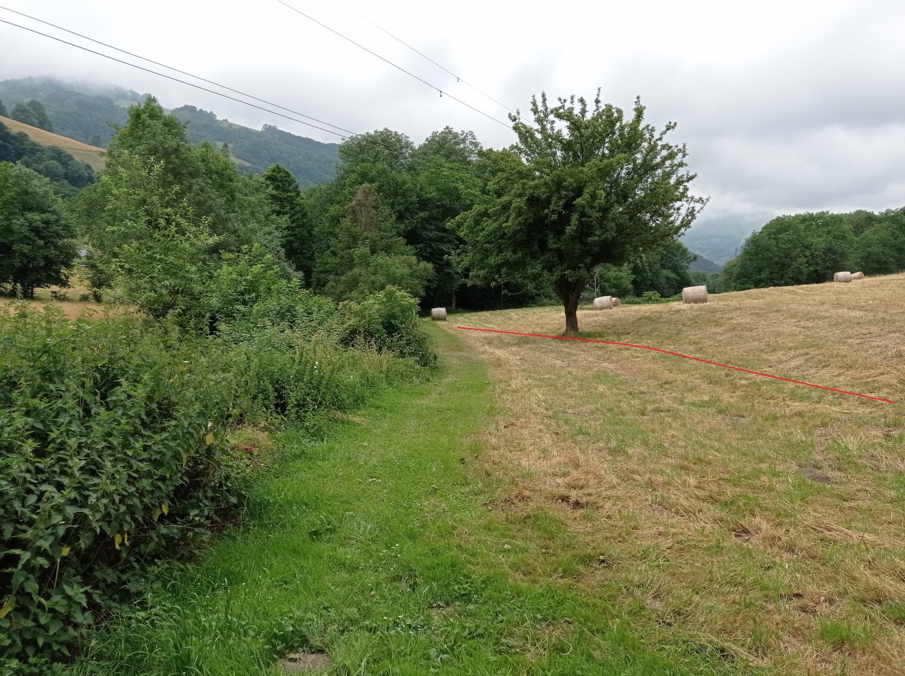 Vue du repère