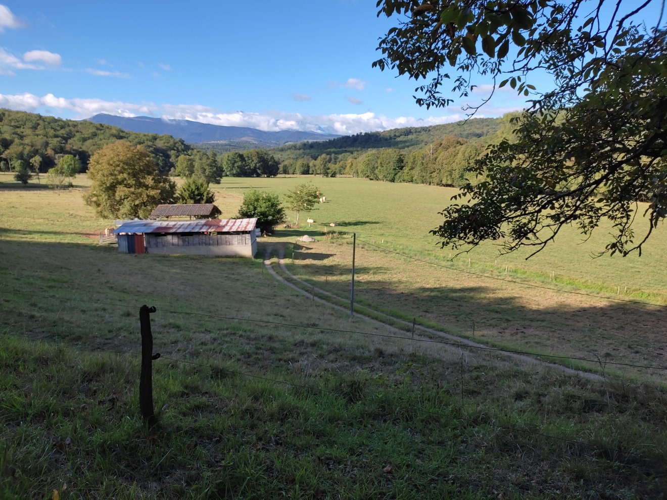 Vue du repère