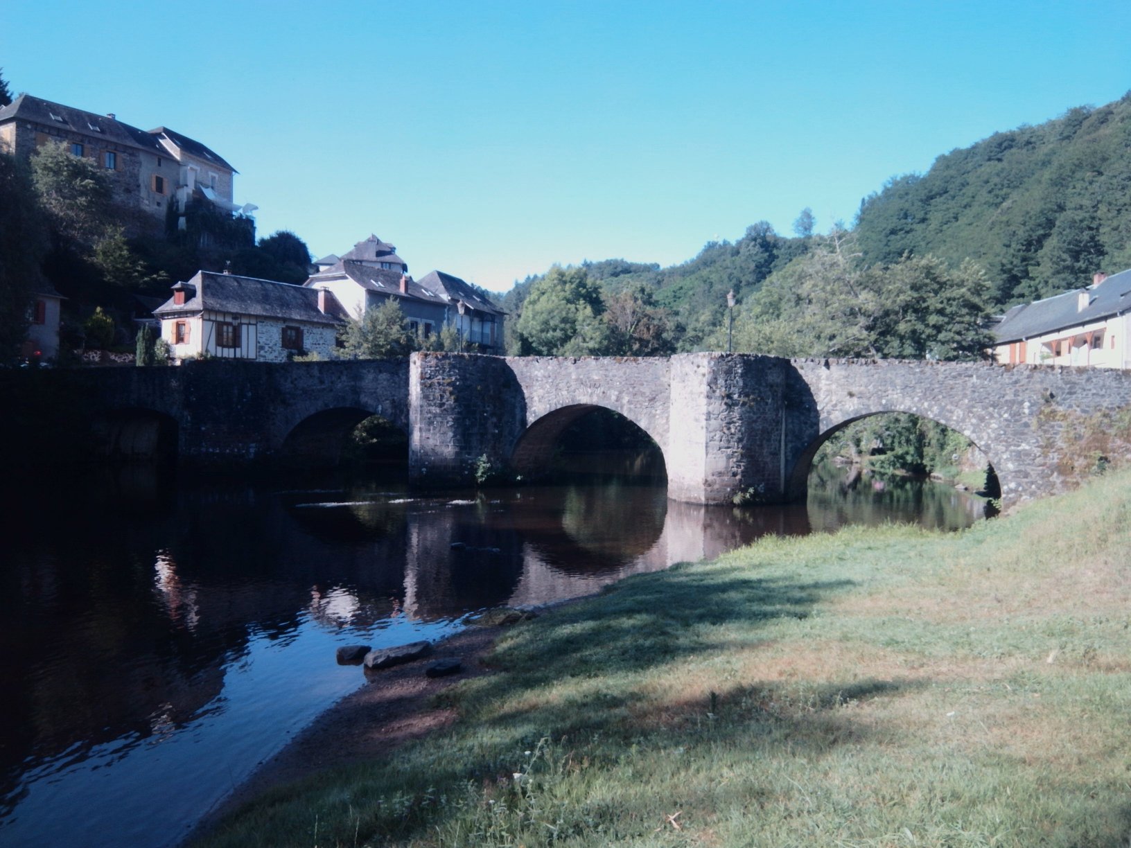 Photo de la laisse ou du repère