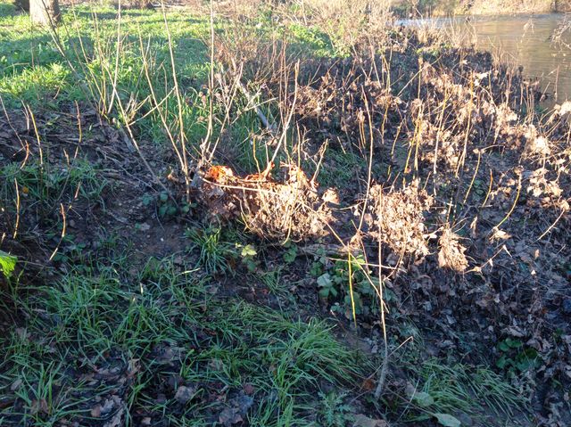 Photo repère ® AGERIN