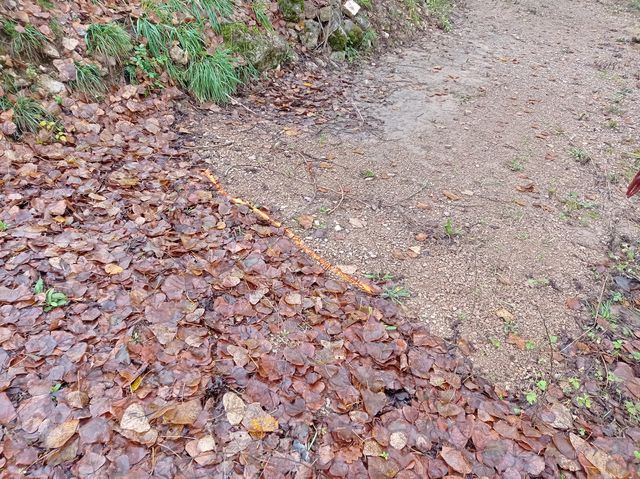 Photo repère ® AGERIN