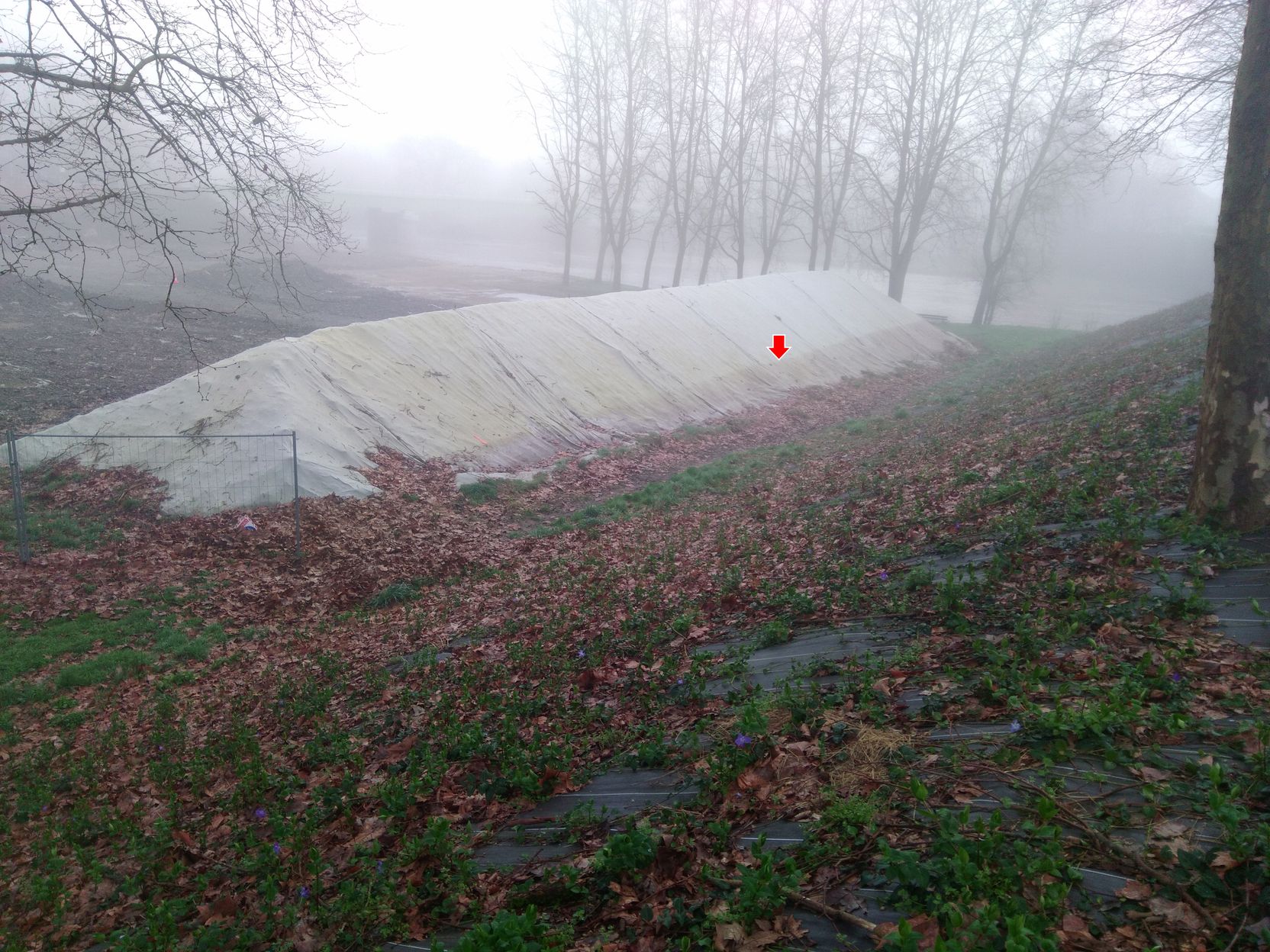 Vue du site en 2024