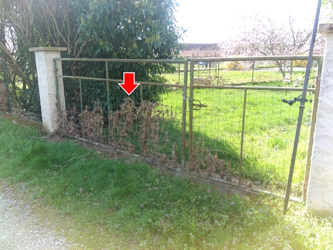 Vue du repère en 2024