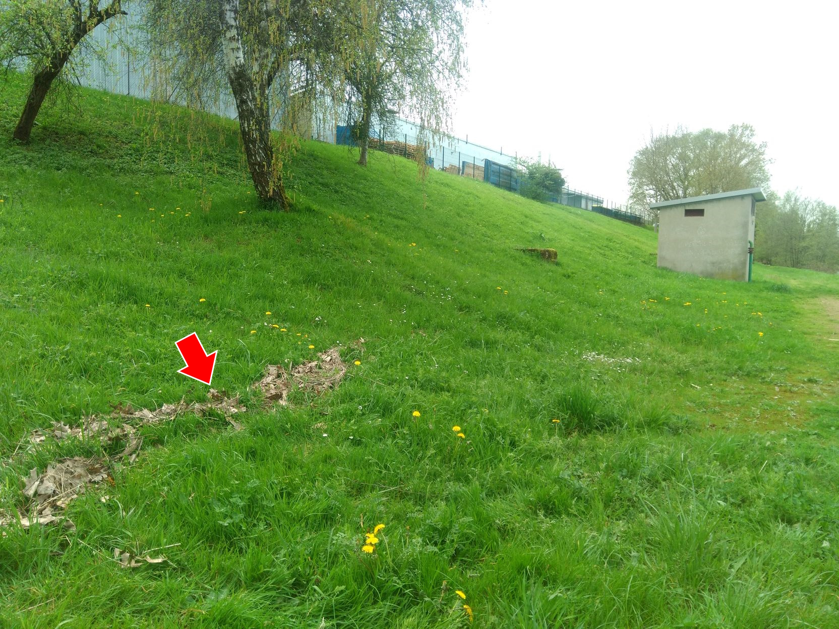 Vue du repère en 2024