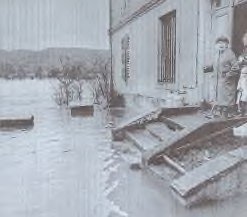 Vue du site
