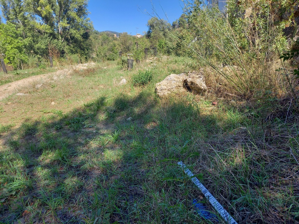 Vue du site, auteur: OTEIS, 2023