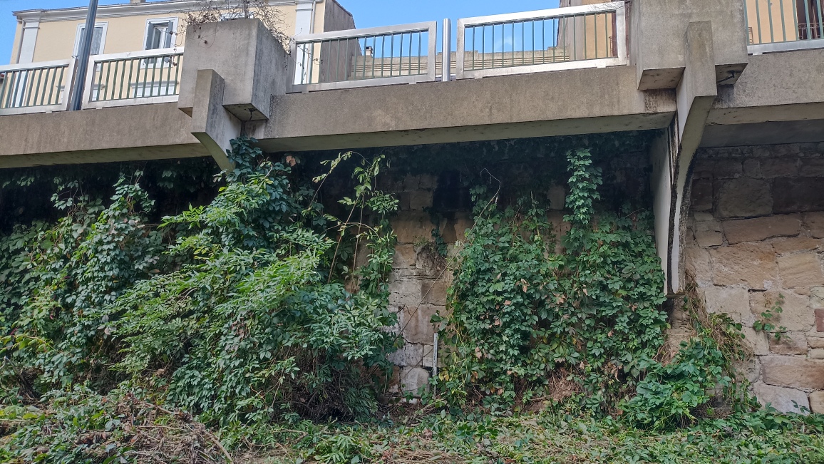 Vue du site, auteur: OTEIS, 2023