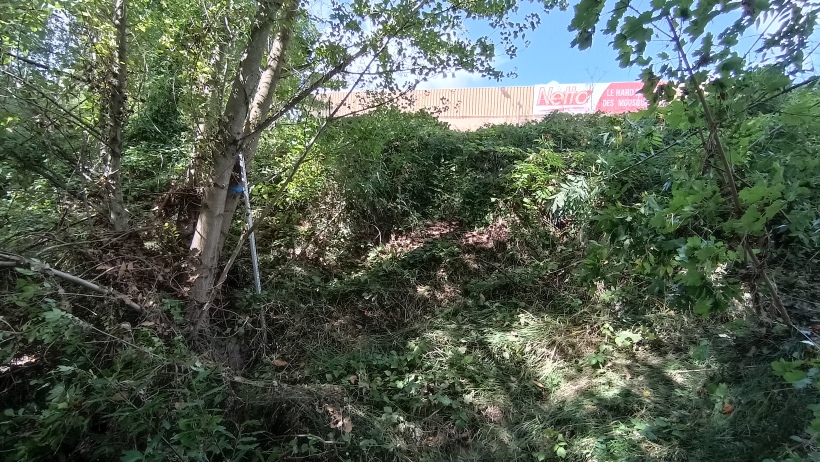 Vue du site, auteur: OTEIS, 2023