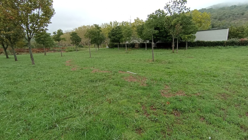 Vue du site, auteur: OTEIS, 2023
