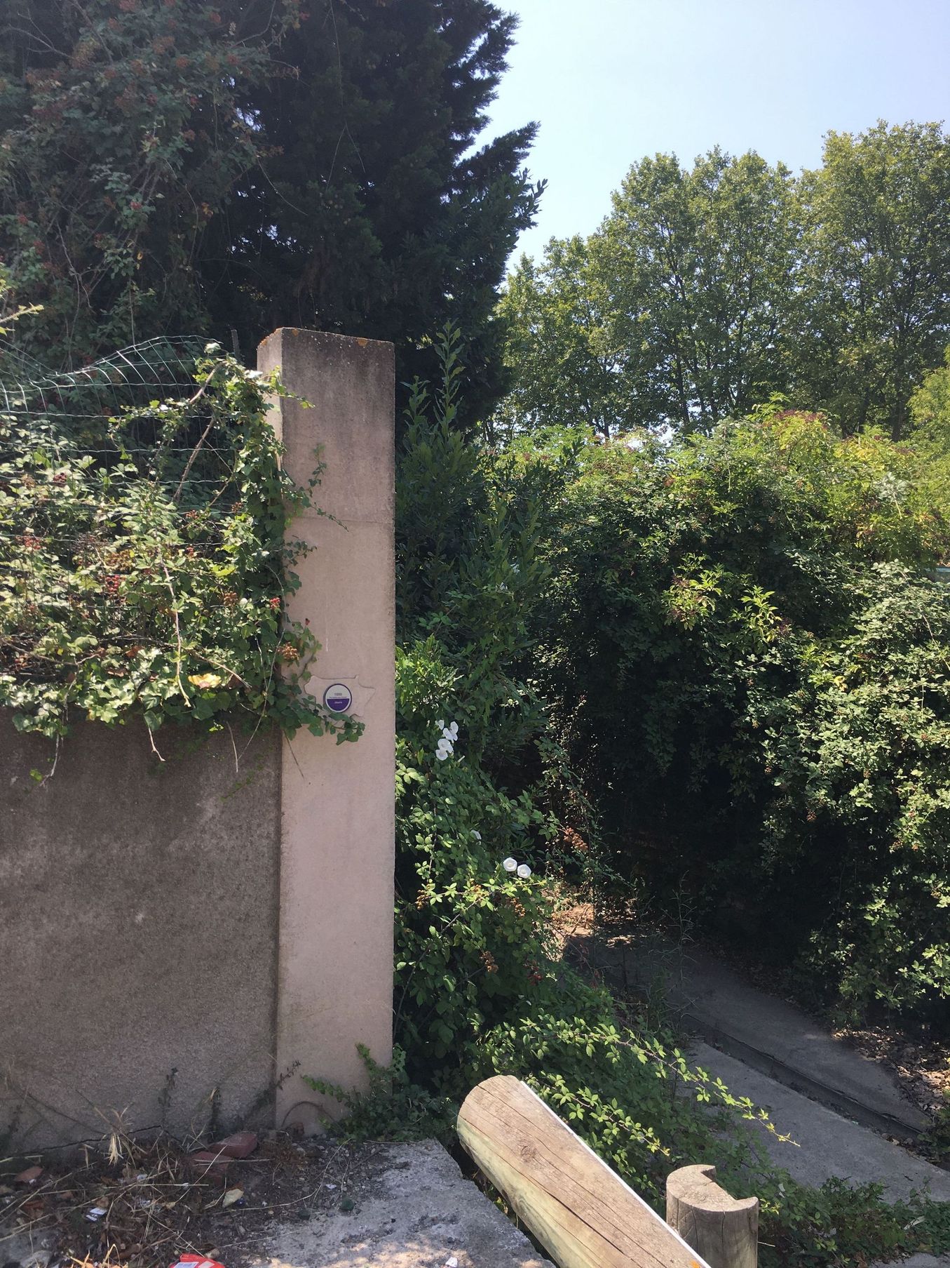 Vue du site, auteur : SMMAR, 2024