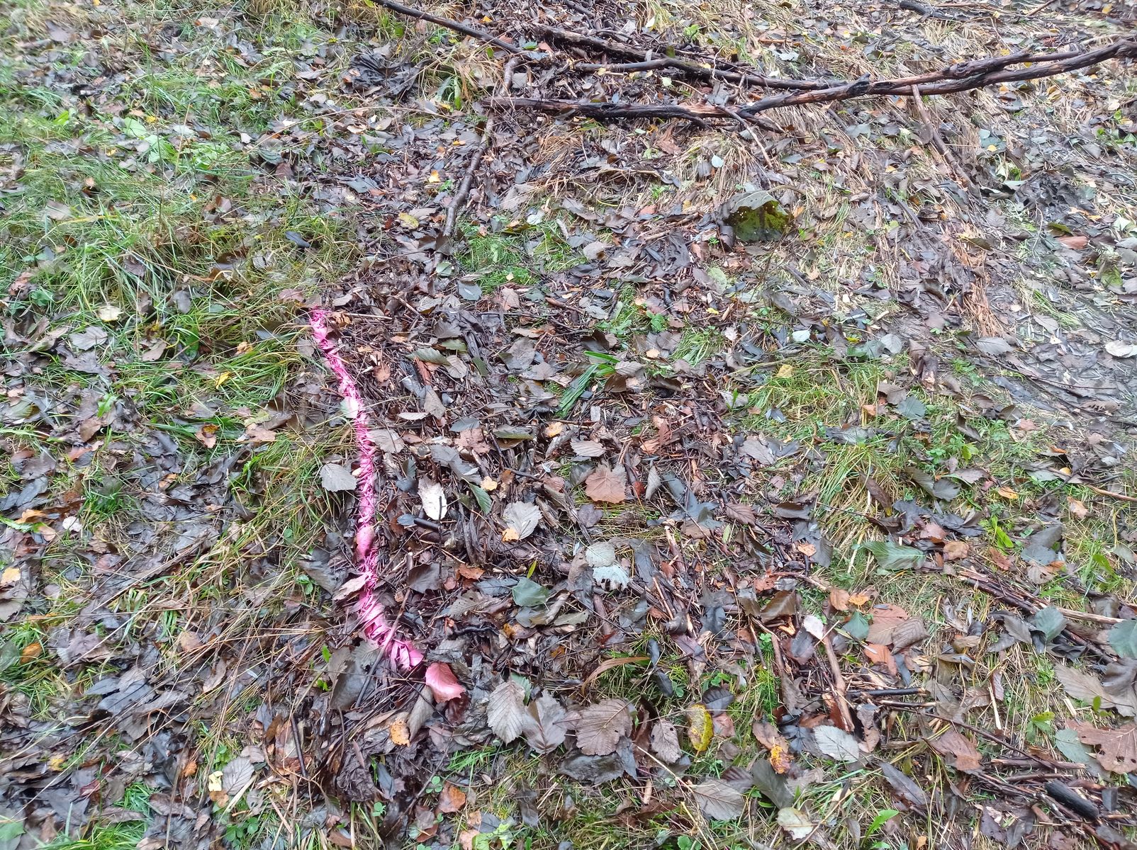 Vue rapprochée du repère. Photo © AGERIN 2023