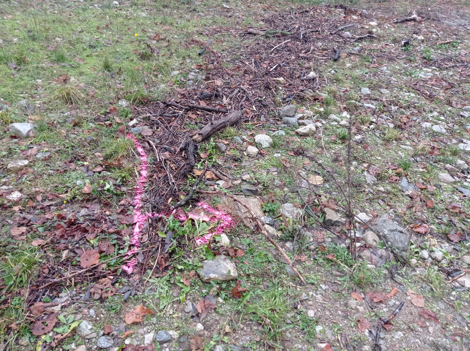 Vue rapprochée du repère. Photo © AGERIN 2023