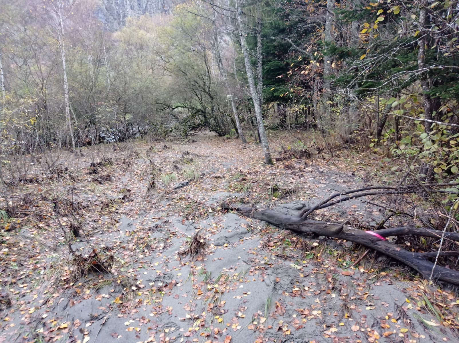 Vue générale du site. Photo © AGERIN 2023