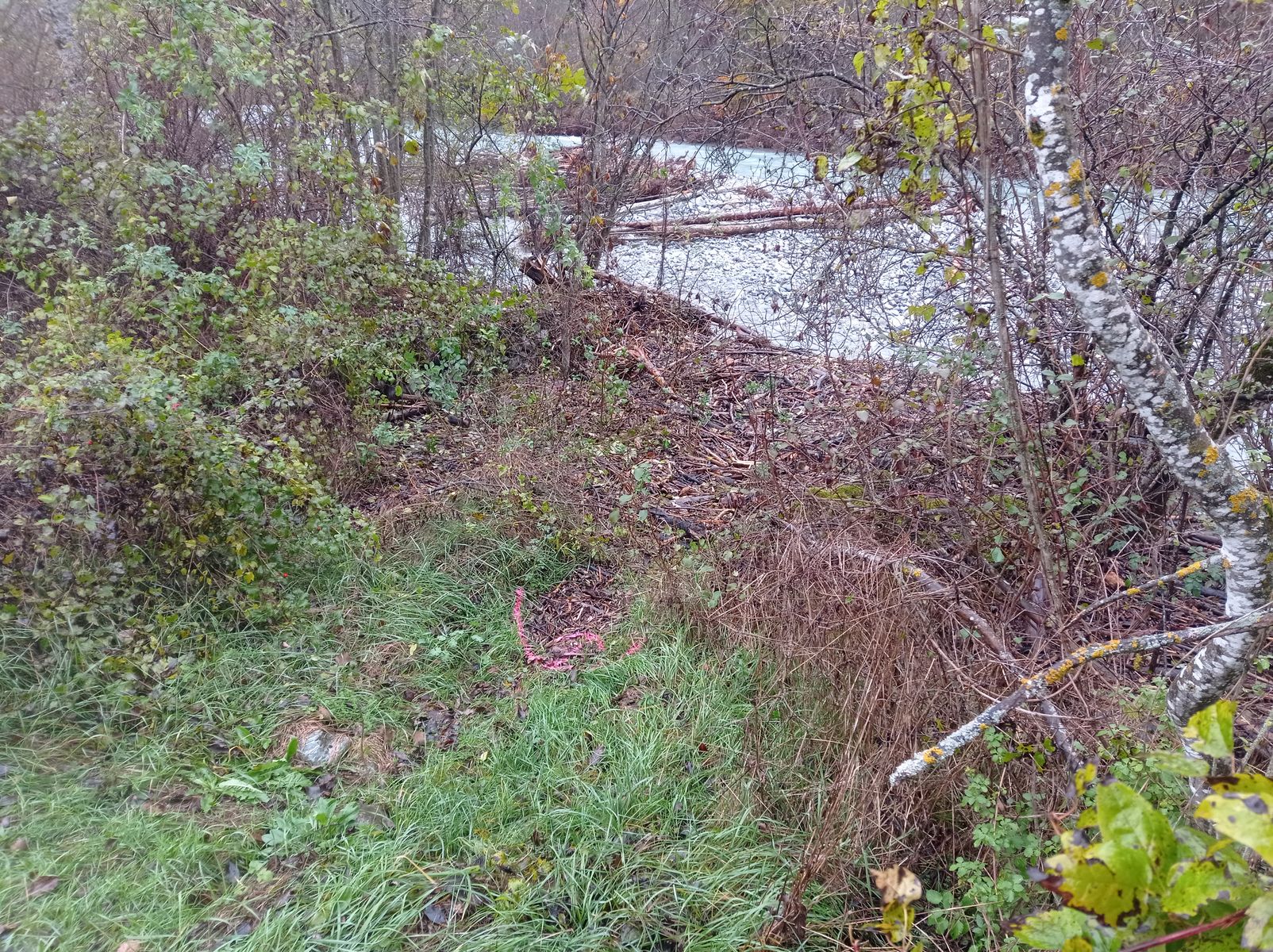 Vue générale du site. Photo © AGERIN 2023
