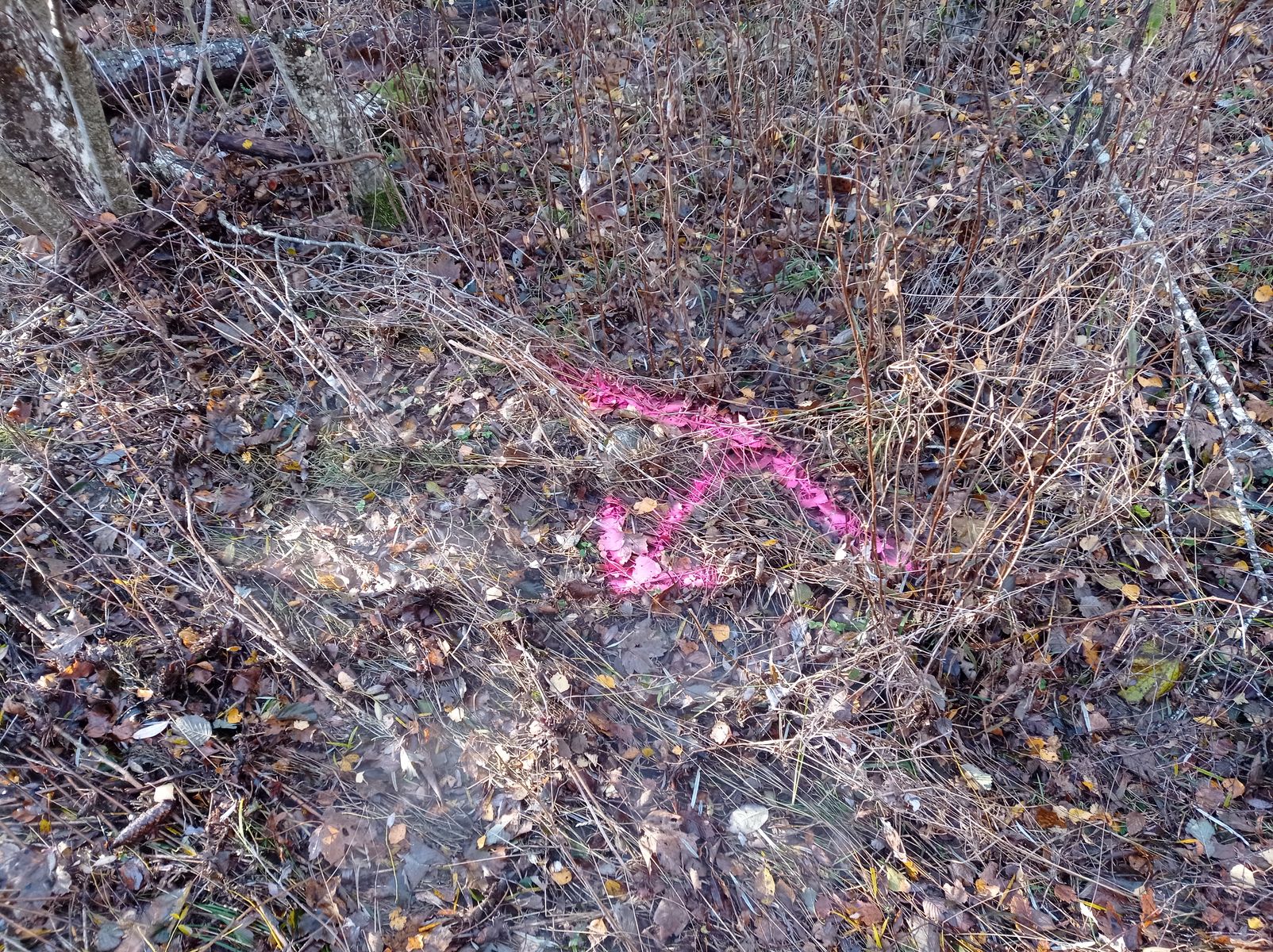 Vue rapprochée du repère. Photo © AGERIN 2023