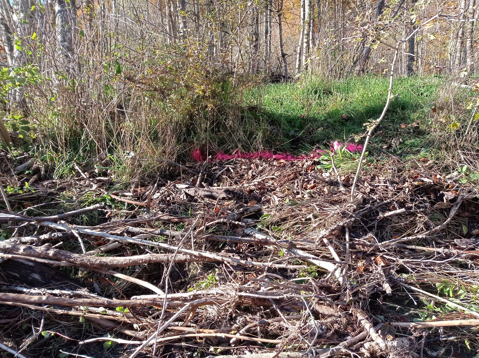 Vue rapprochée du repère. Photo © AGERIN 2023