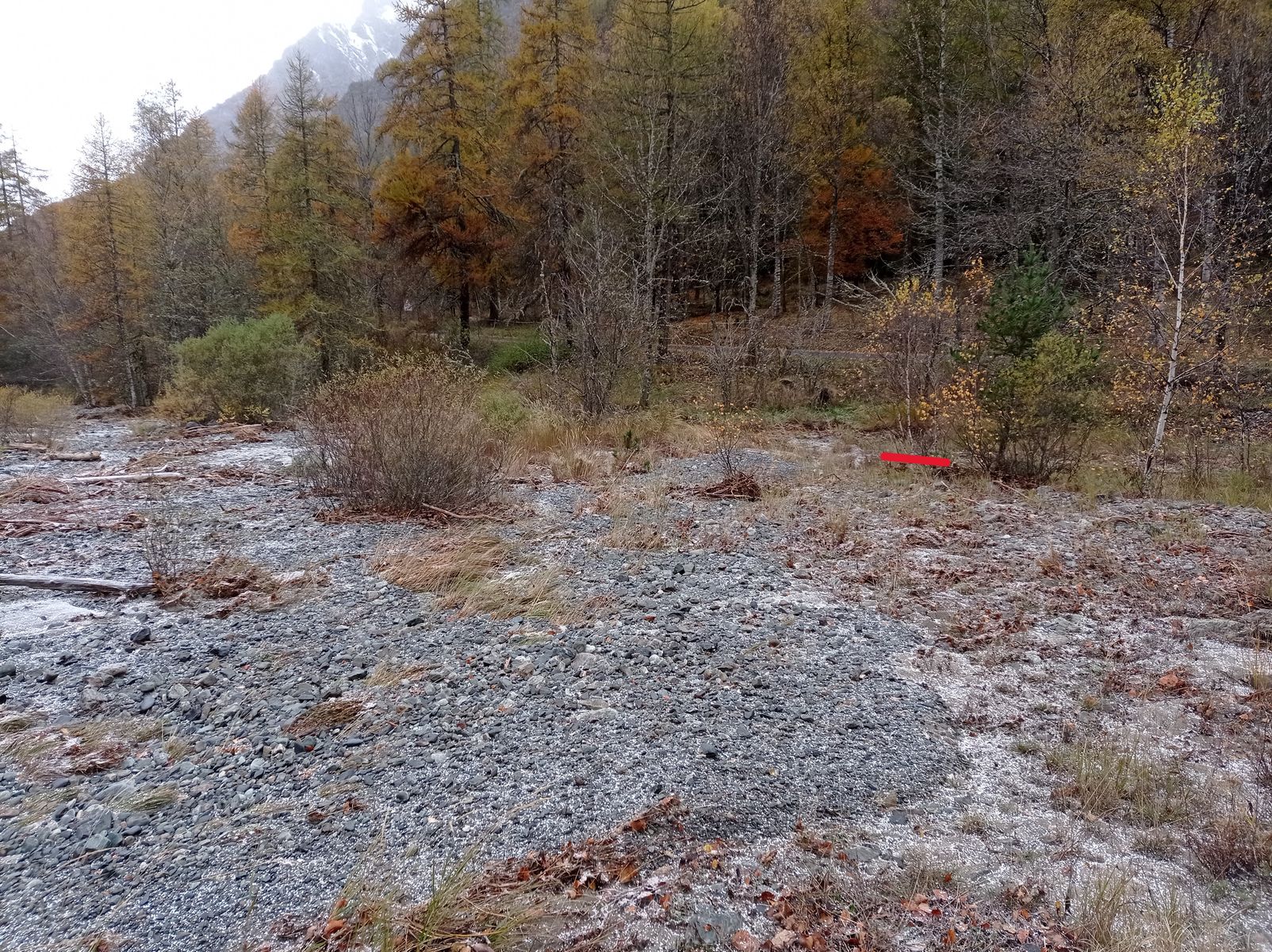 Vue générale du site. Photo © AGERIN 2023