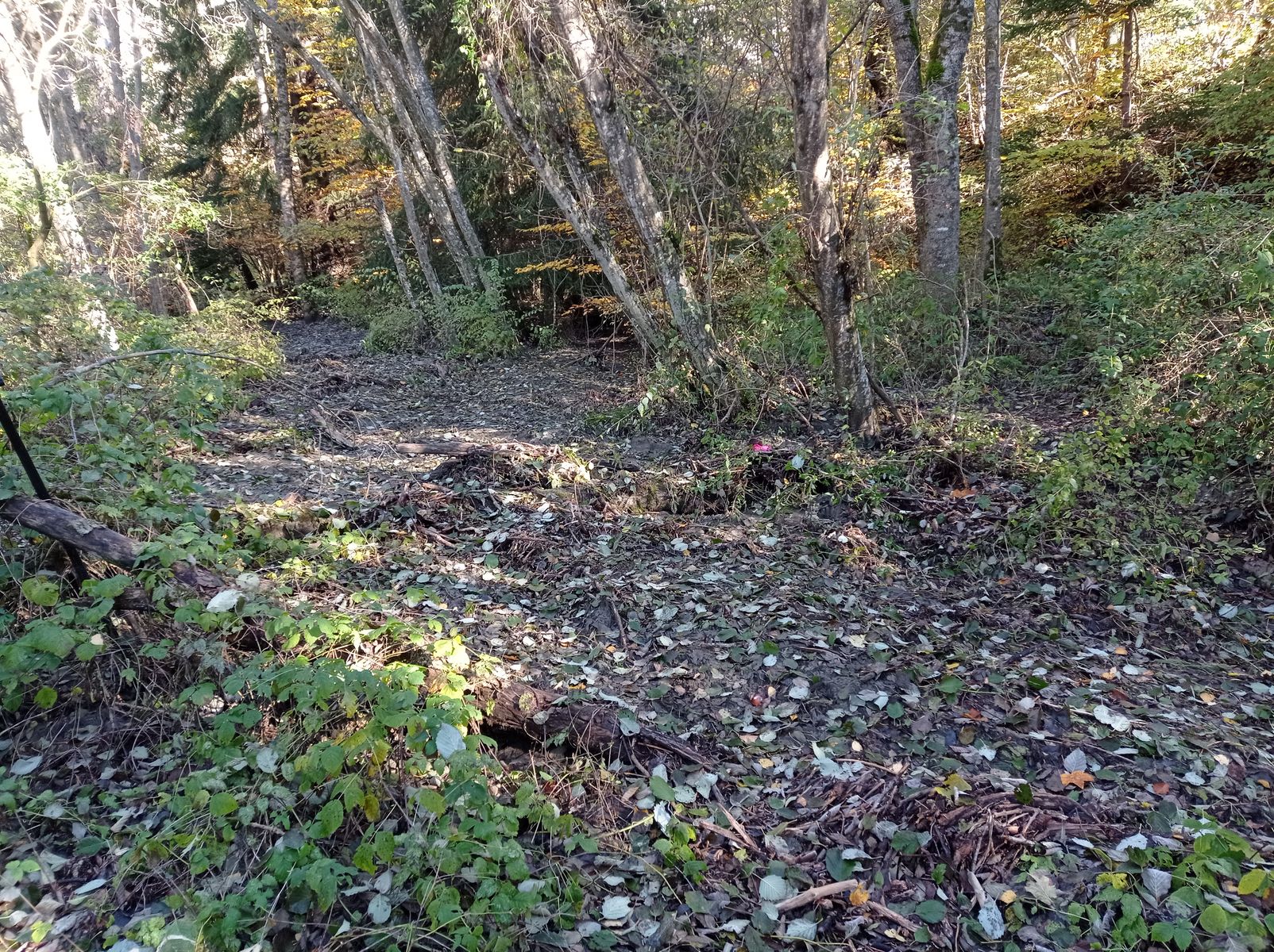 Vue générale du site. Photo © AGERIN 2023