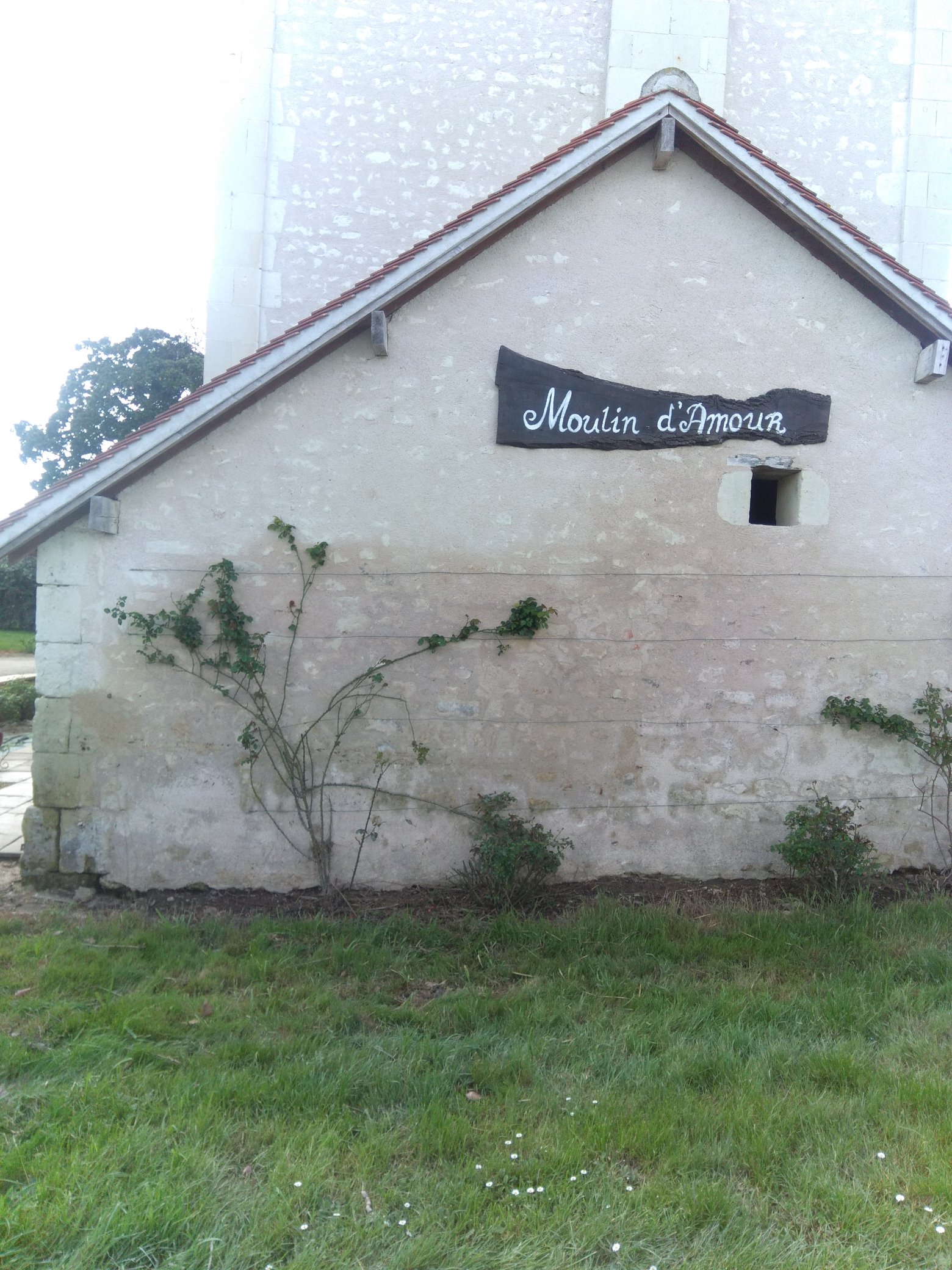 Vue du site – Auteur : SPC LACI