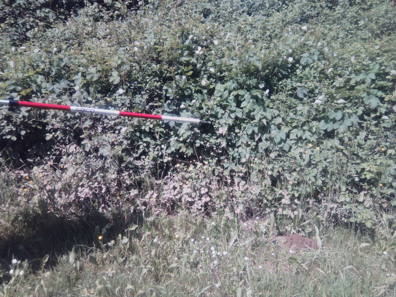 Vue du repère – auteur : Artelia