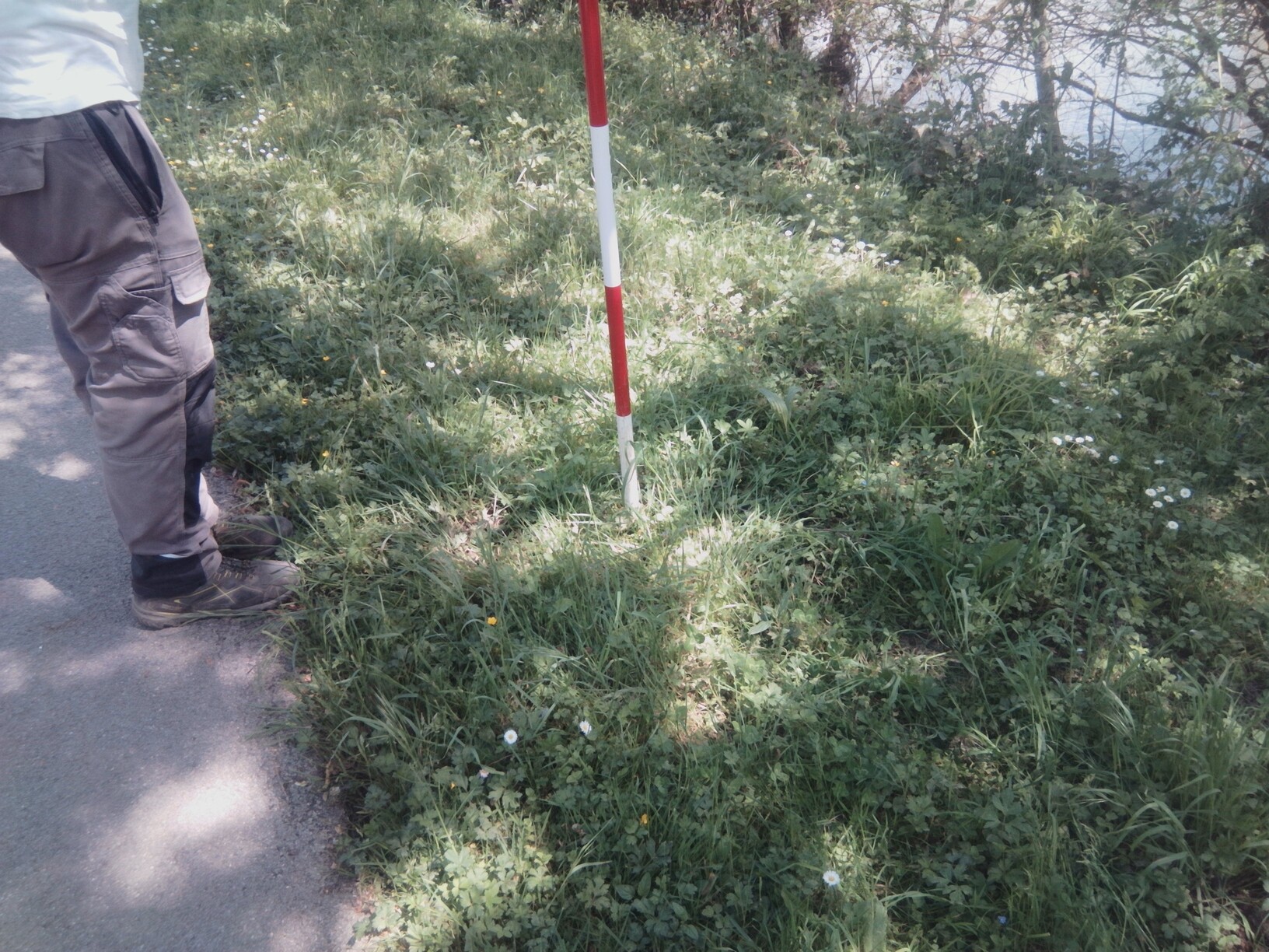 Vue du repère – auteur : Artelia