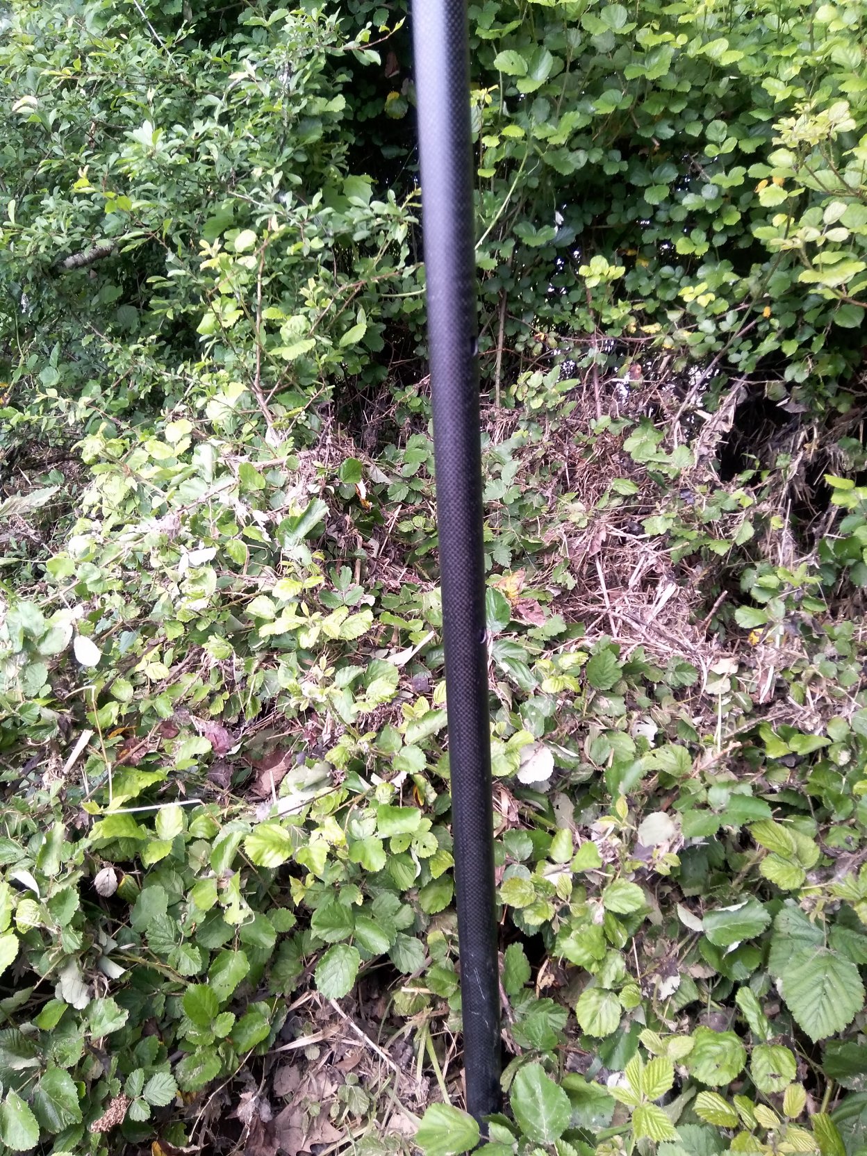 Vue de la laisse – auteur SPC GAD