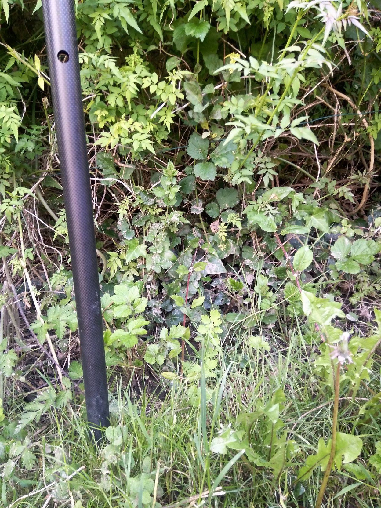 Vue de la laisse – auteur SPC GAD