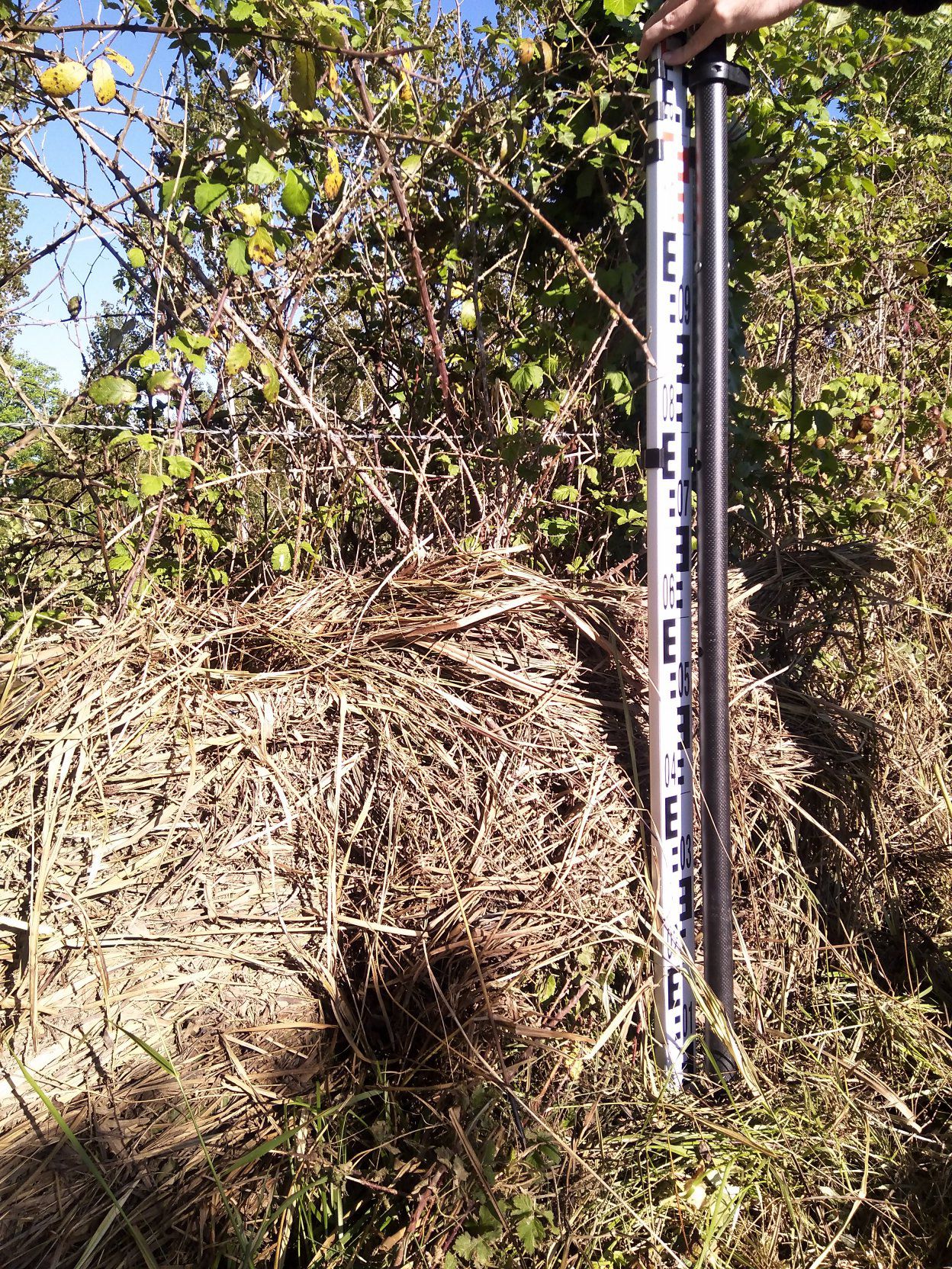 Vue de la laisse – auteur SPC GAD