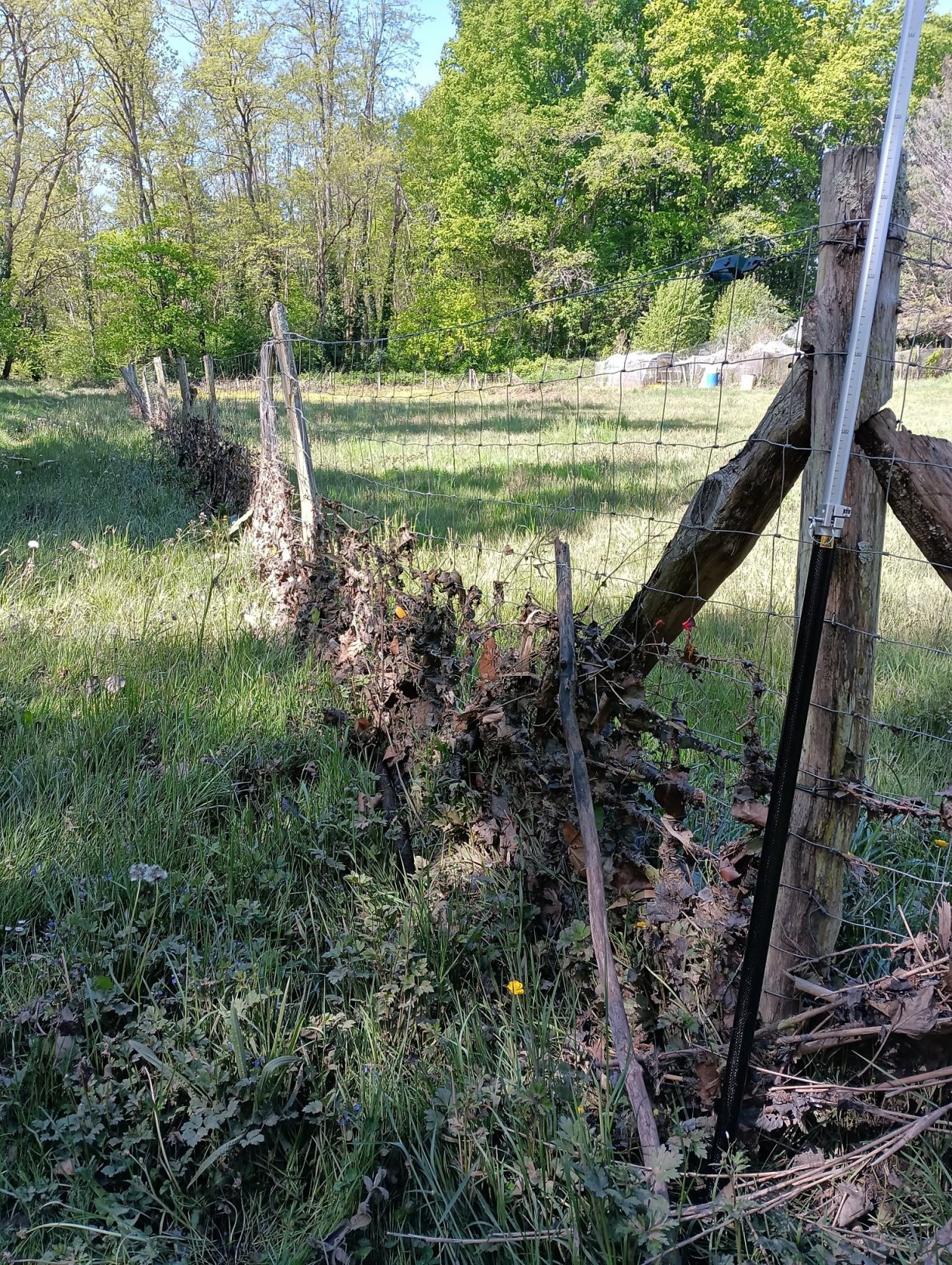 Vue du site – auteur : AGERIN