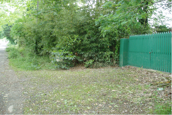 Vue du site