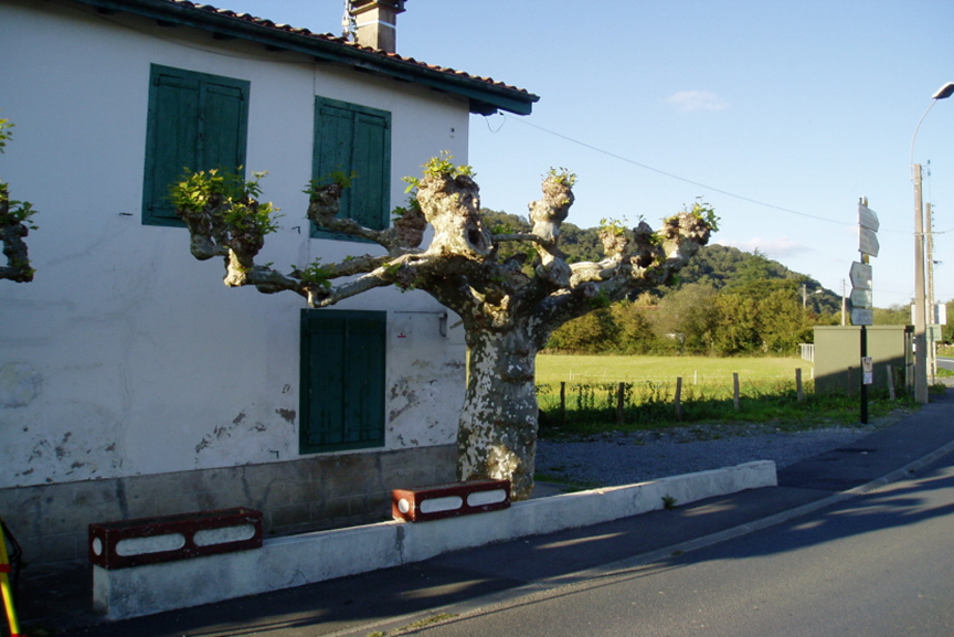 Vue du site