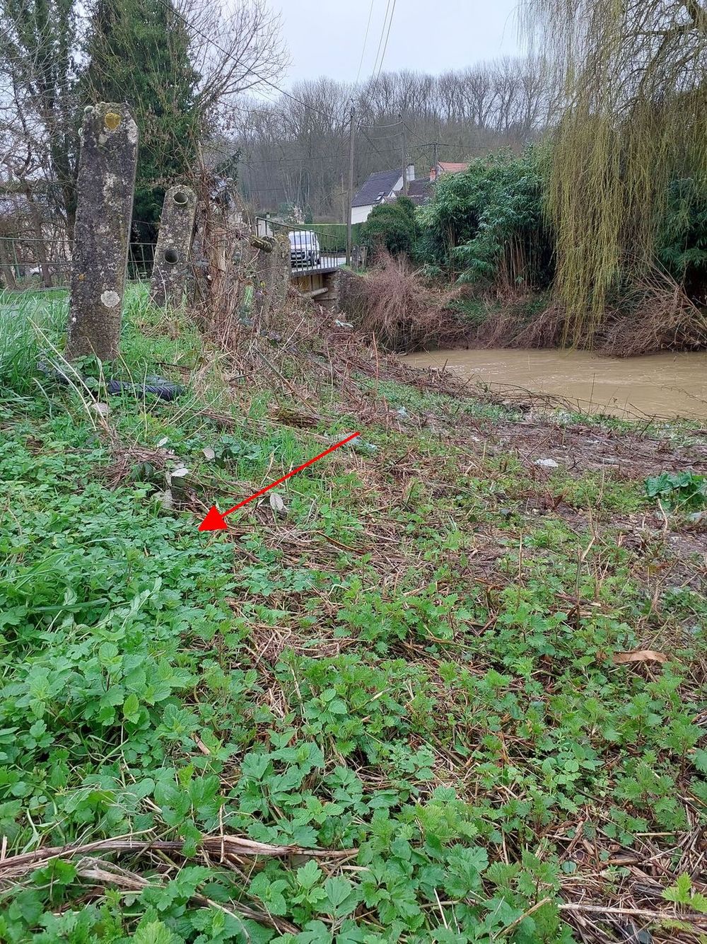 Photo du site – SPC SMYL