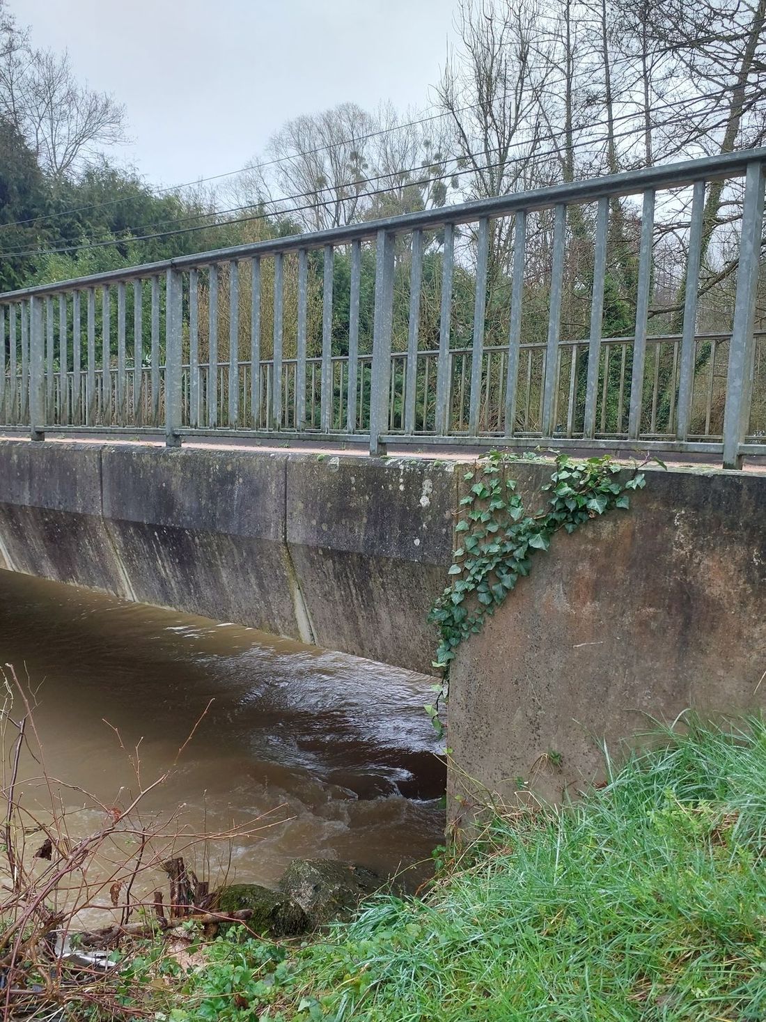 Photo du site – SPC SMYL