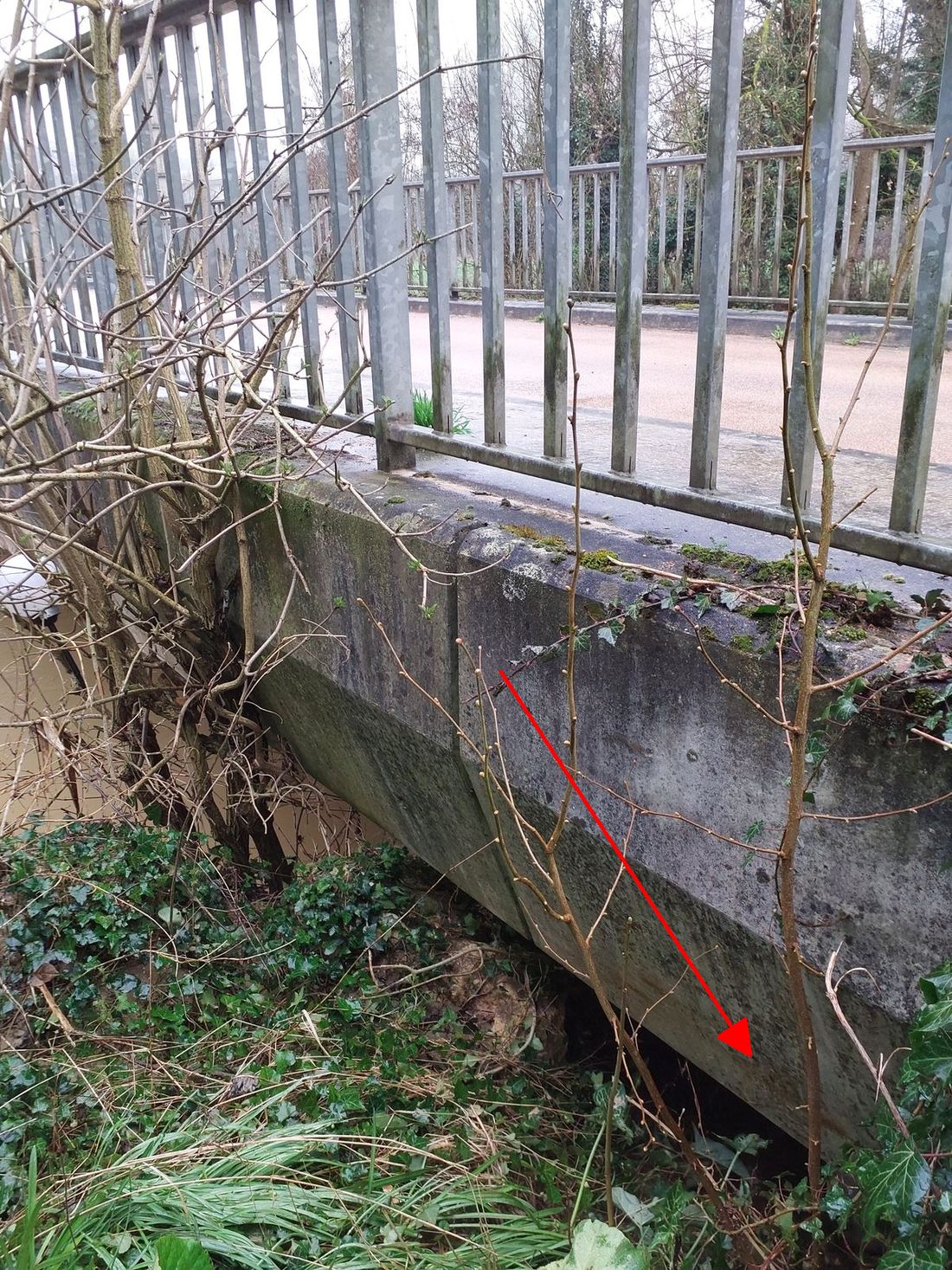 Photo du site – SPC SMYL