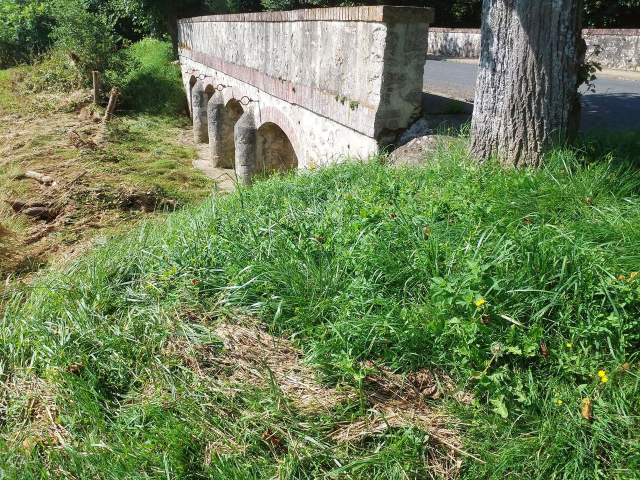 Photo du site – SPC SMYL
