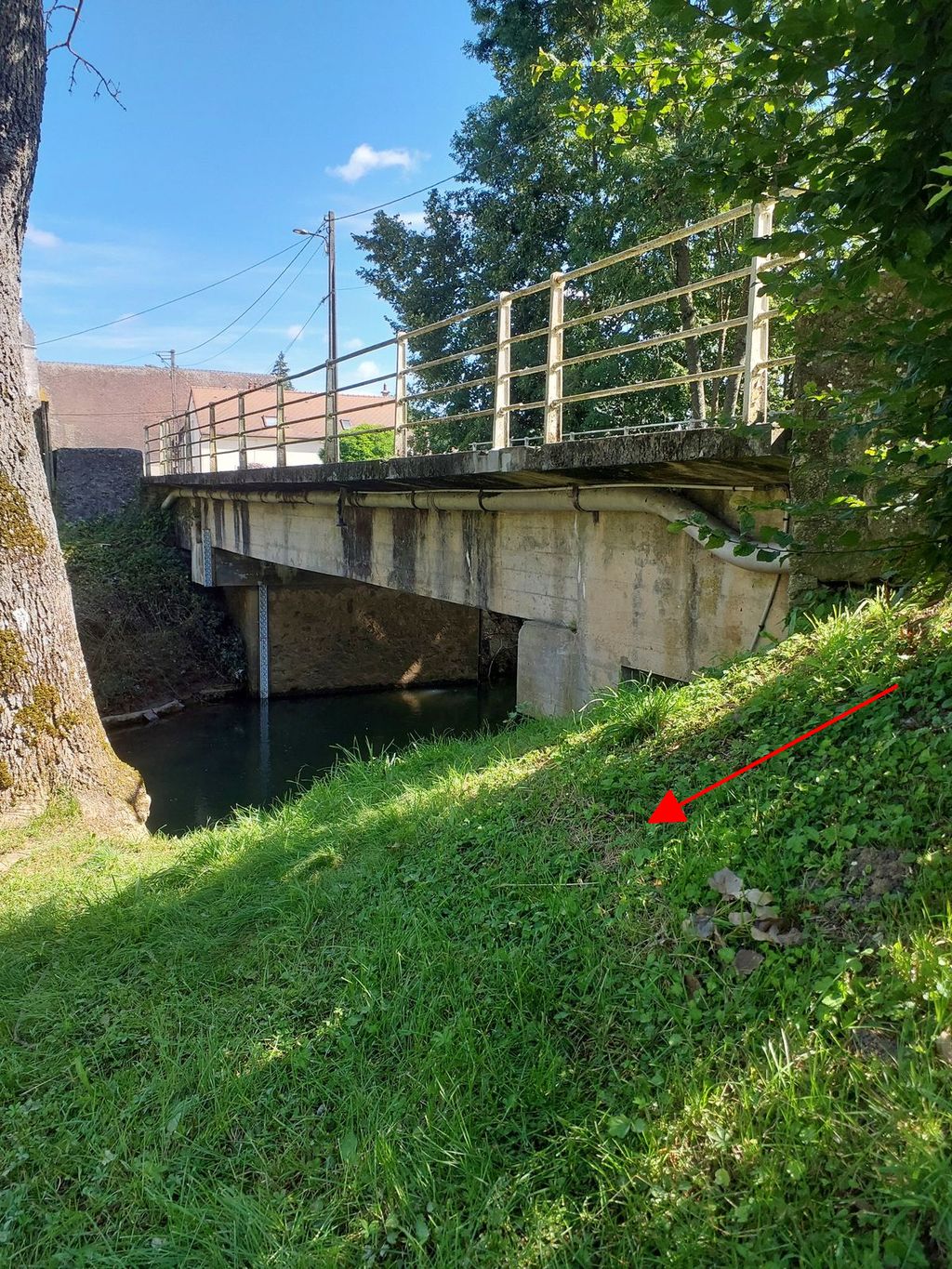 Photo du site – SPC SMYL
